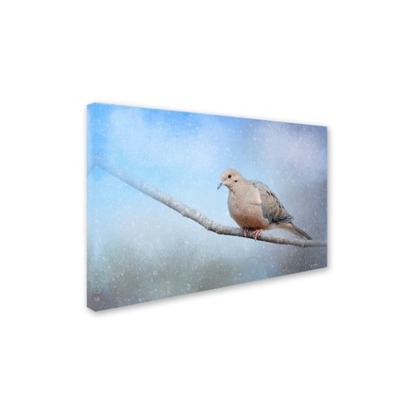 Jai Johnson 'Dove In The Snow' Canvas Art,16x24